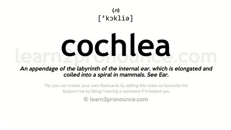how do you pronounce cochlear.